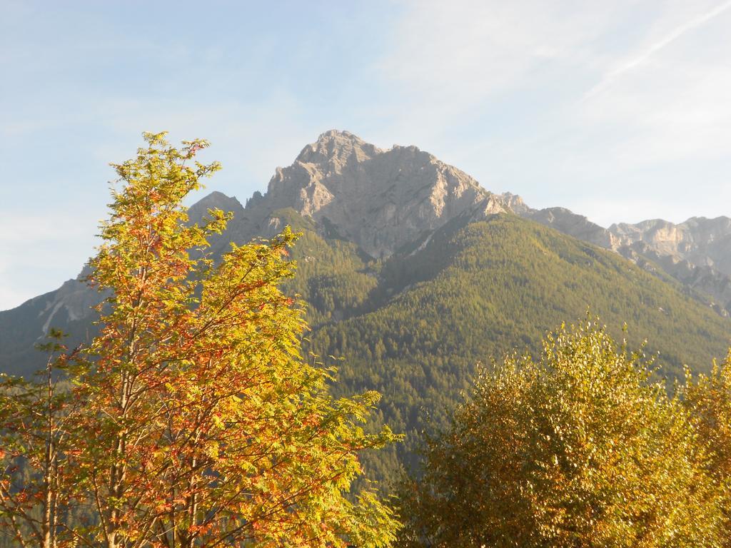 Haus Leitgeb Daire Telfes im Stubai Dış mekan fotoğraf
