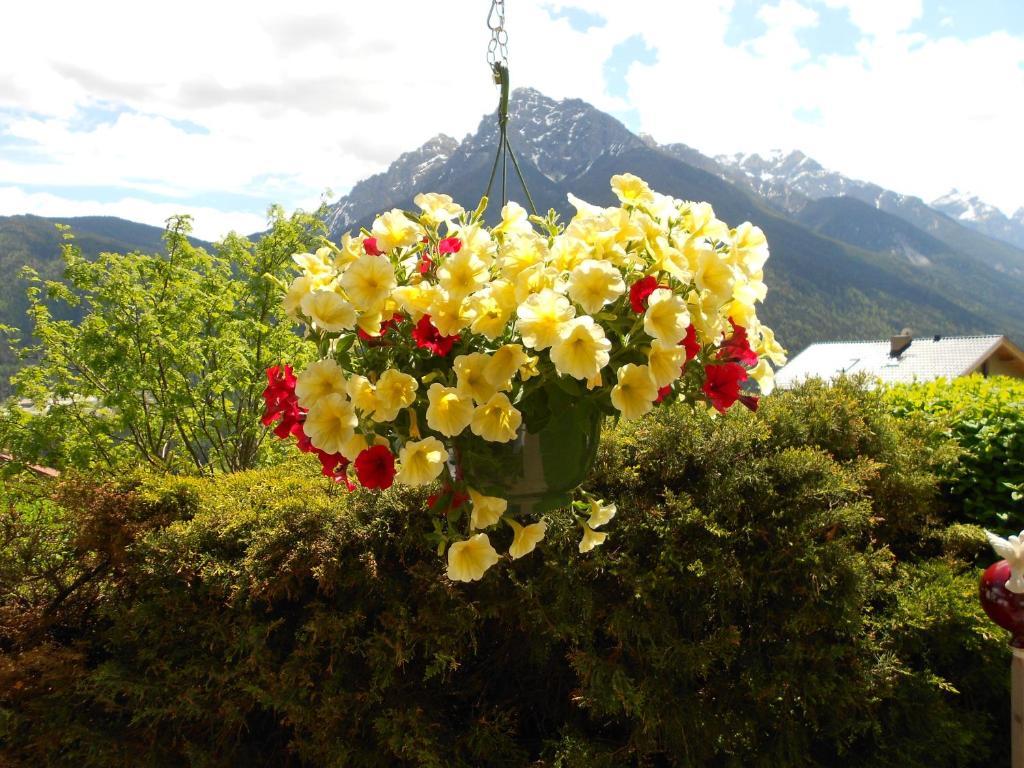 Haus Leitgeb Daire Telfes im Stubai Dış mekan fotoğraf